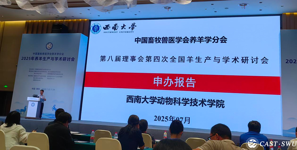 pa视讯官方集团