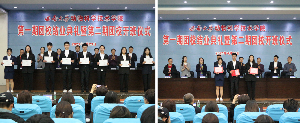 pa视讯官方集团