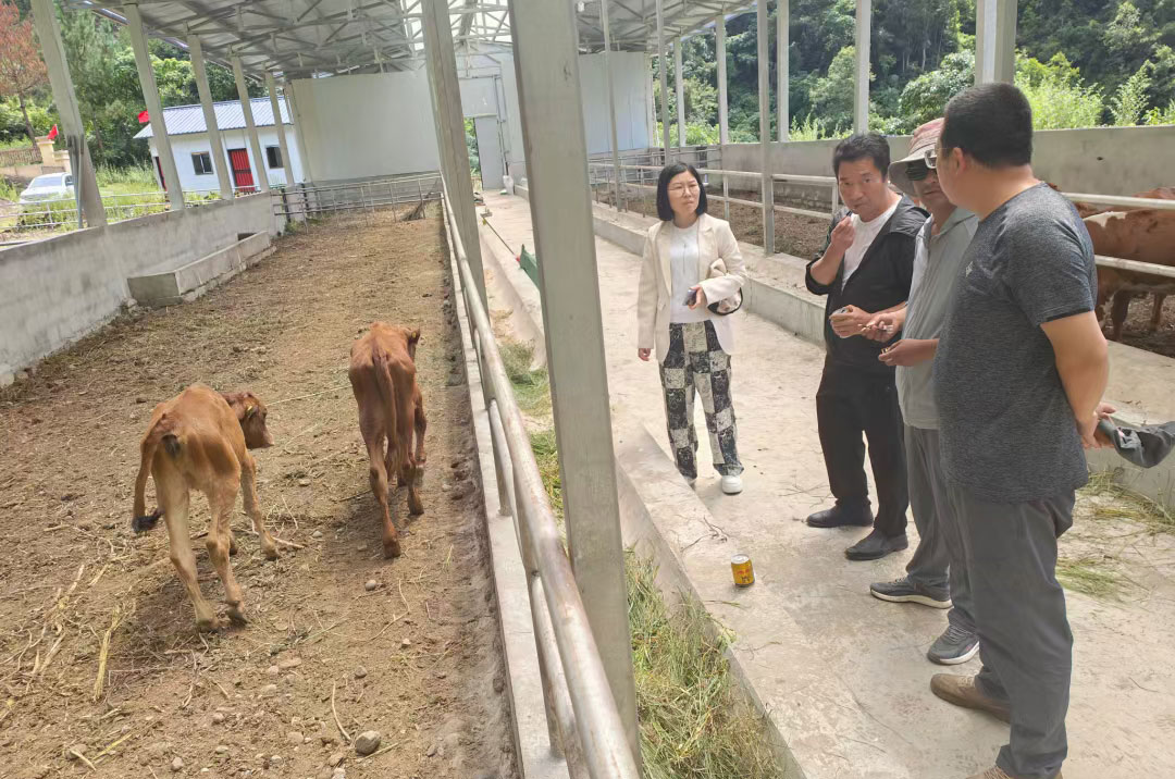 pa视讯官方集团