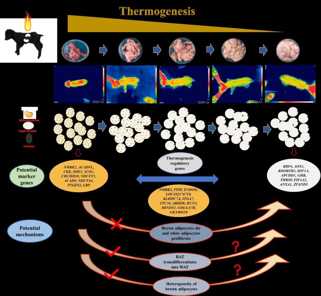 pa视讯官方集团
