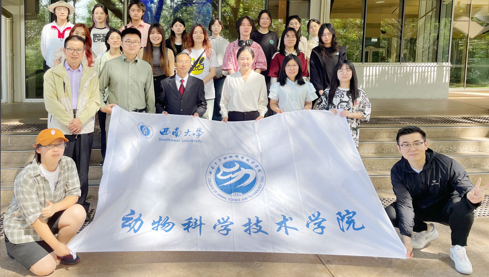 pa视讯官方集团