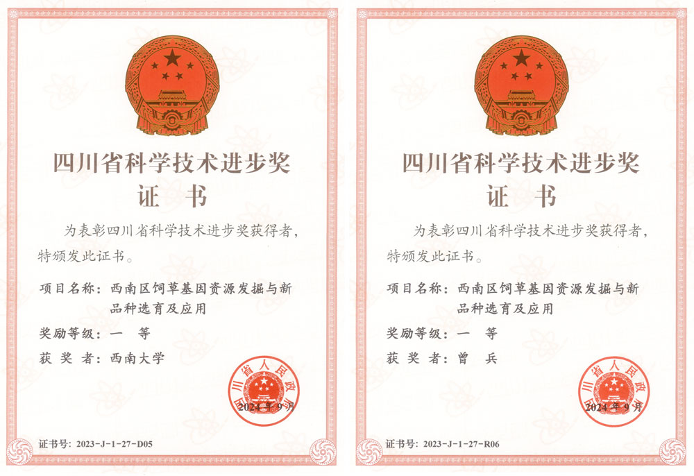 pa视讯官方集团