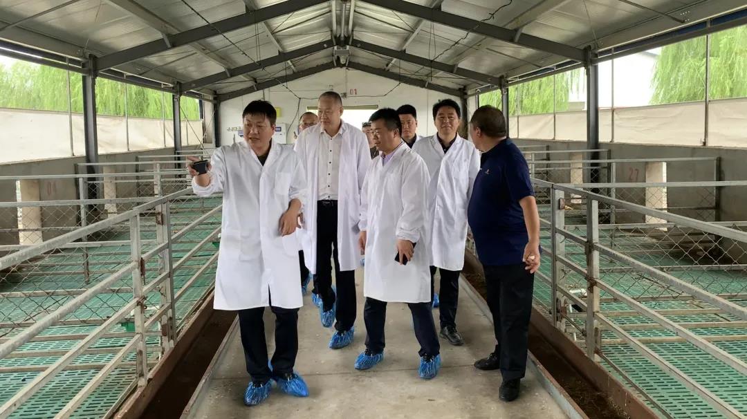 pa视讯官方集团