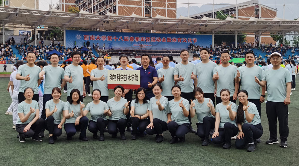 pa视讯官方集团