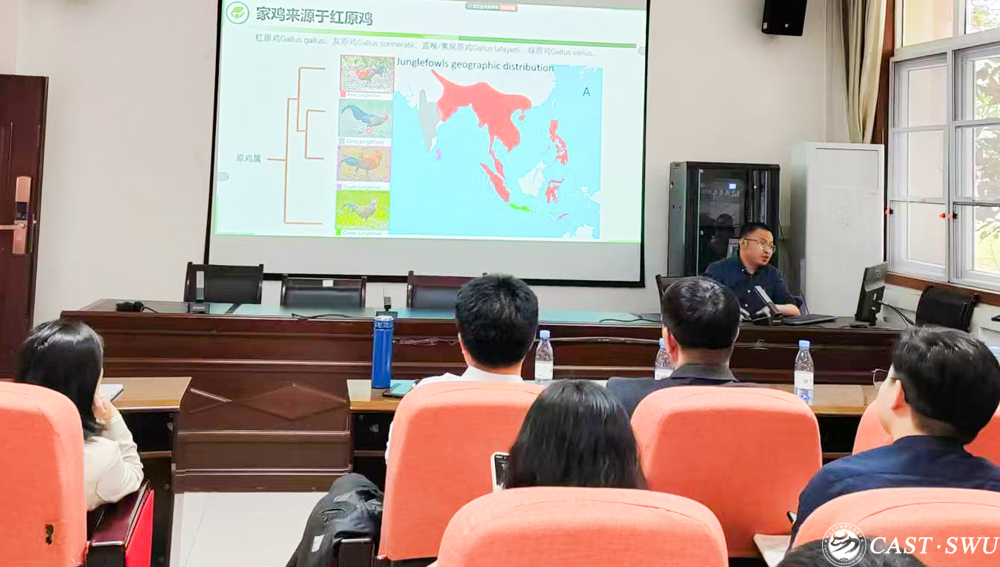 pa视讯官方集团