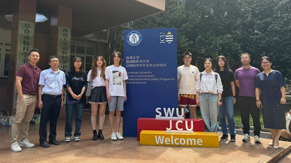 pa视讯官方集团