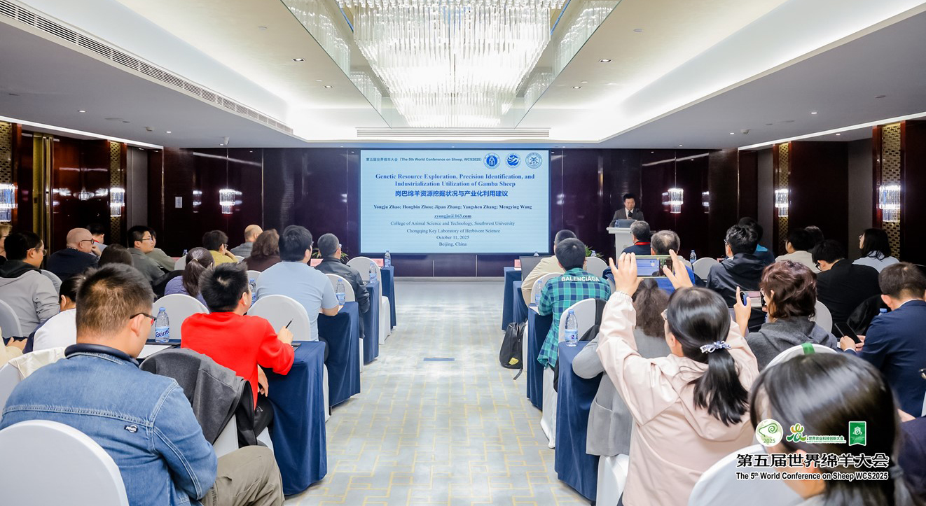 pa视讯官方集团