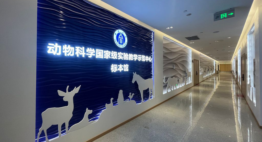 pa视讯官方集团