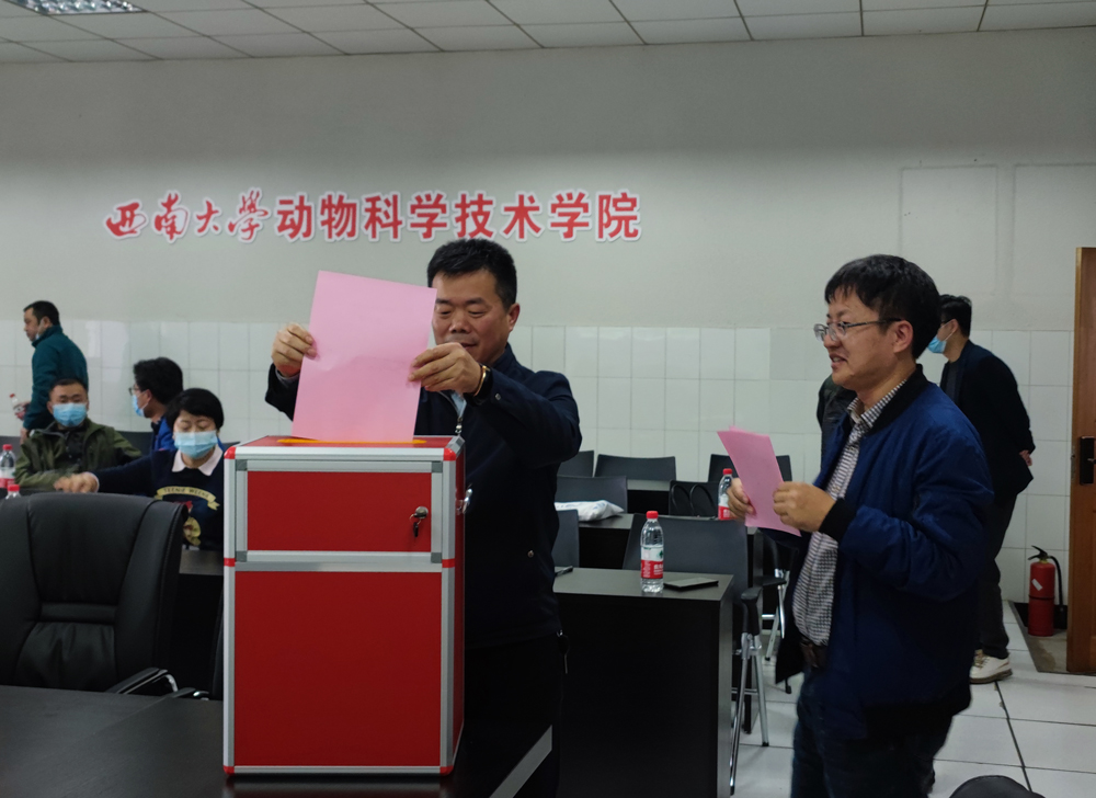 pa视讯官方集团