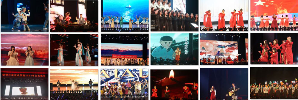 pa视讯官方集团