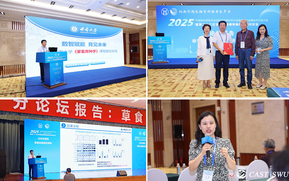 pa视讯官方集团