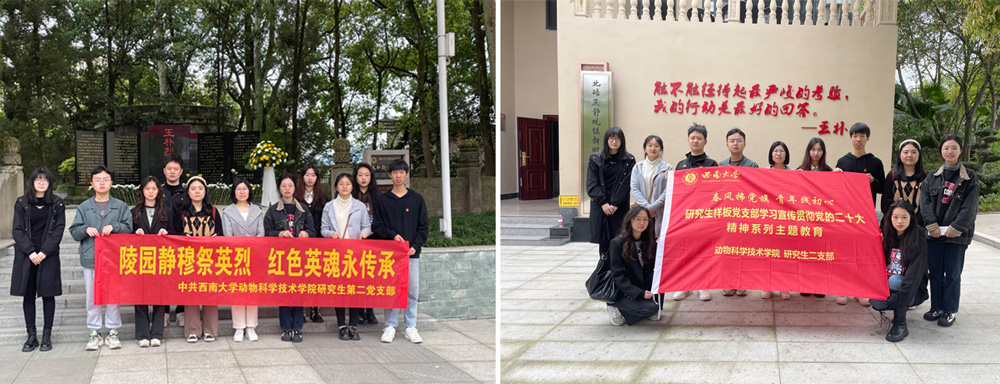 pa视讯官方集团