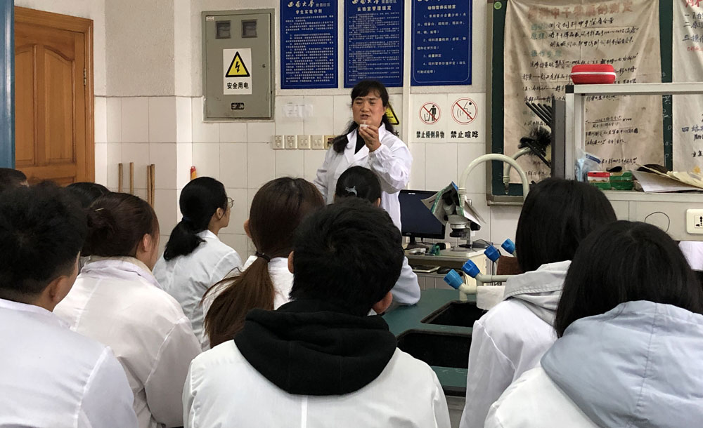 pa视讯官方集团