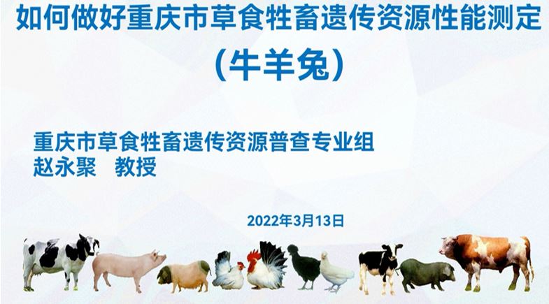 pa视讯官方集团