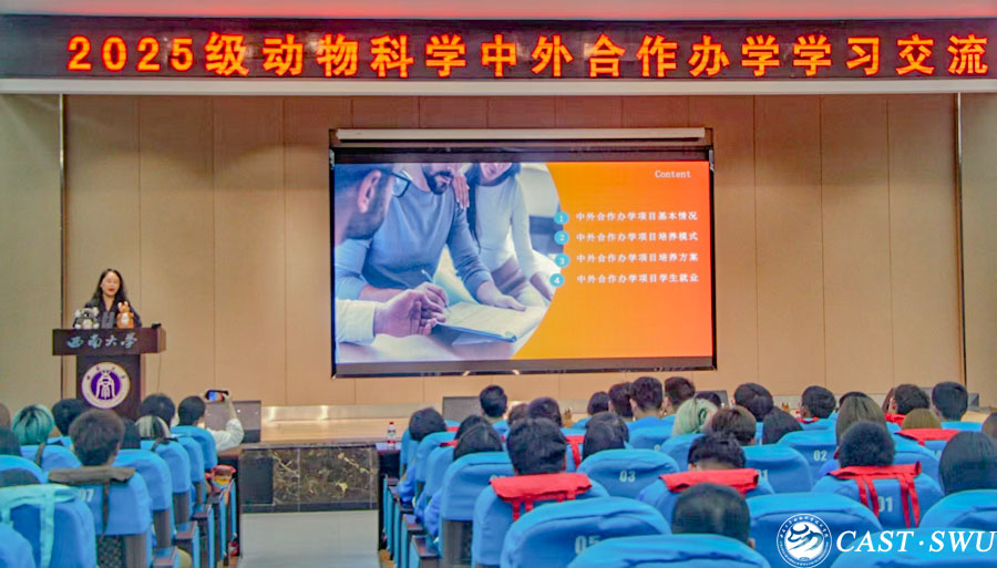 pa视讯官方集团