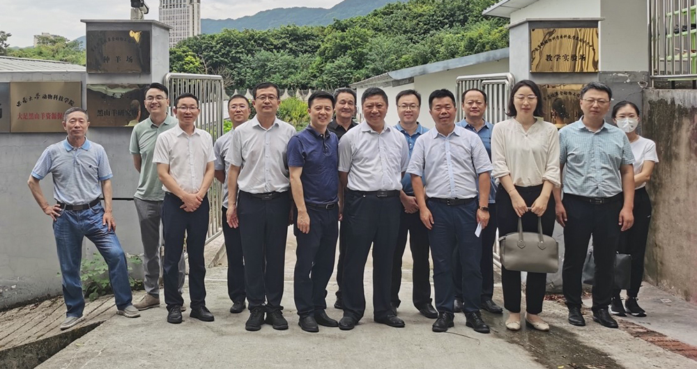 pa视讯官方集团