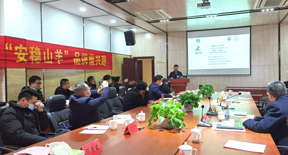 pa视讯官方集团