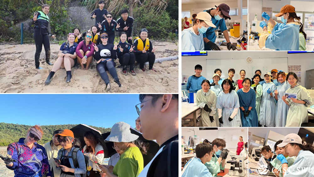 pa视讯官方集团