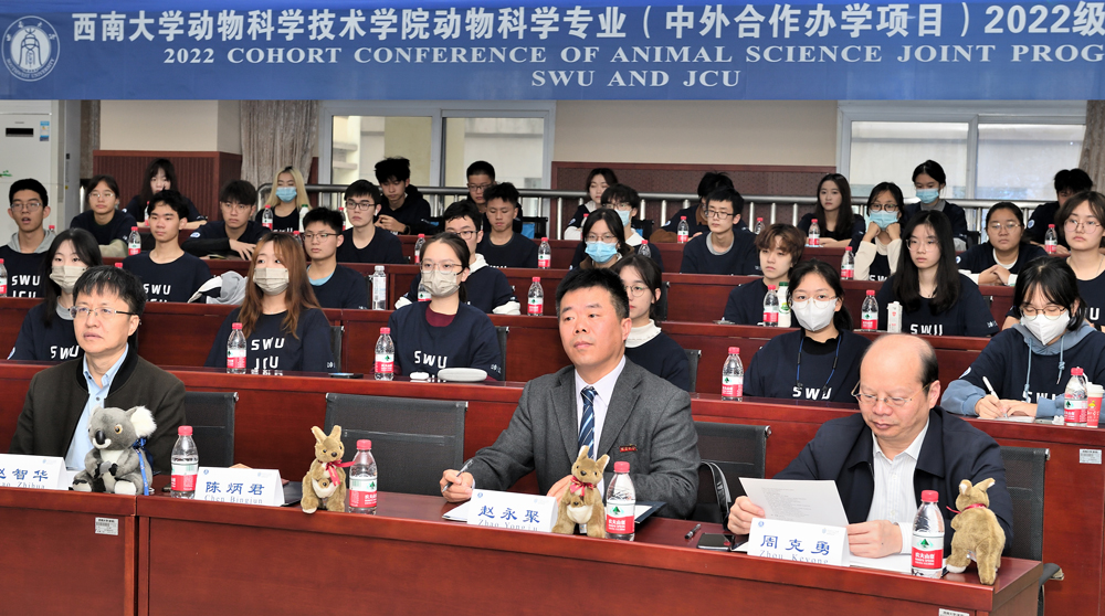 pa视讯官方集团