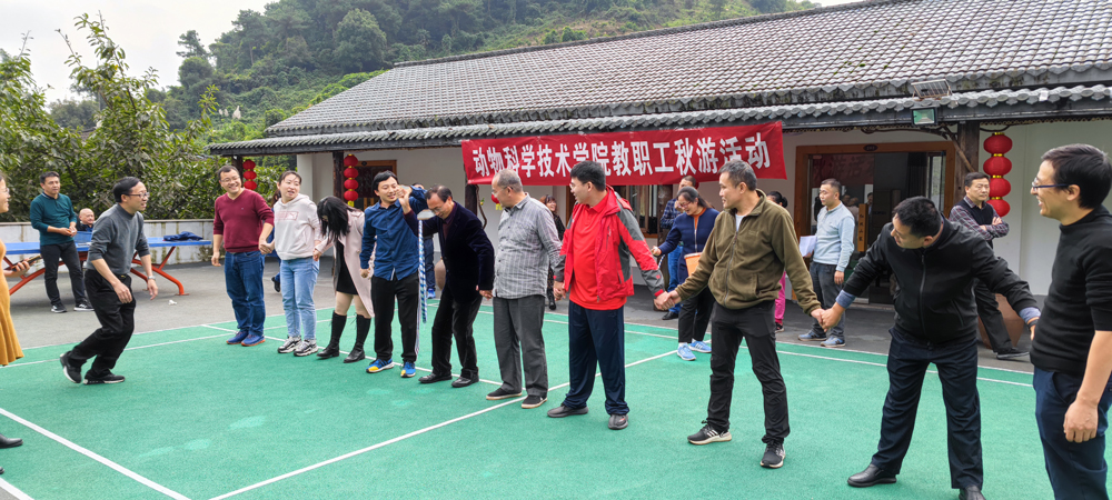 pa视讯官方集团