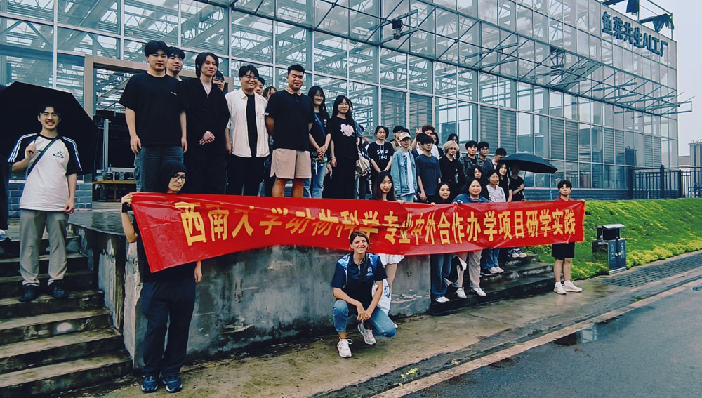 pa视讯官方集团