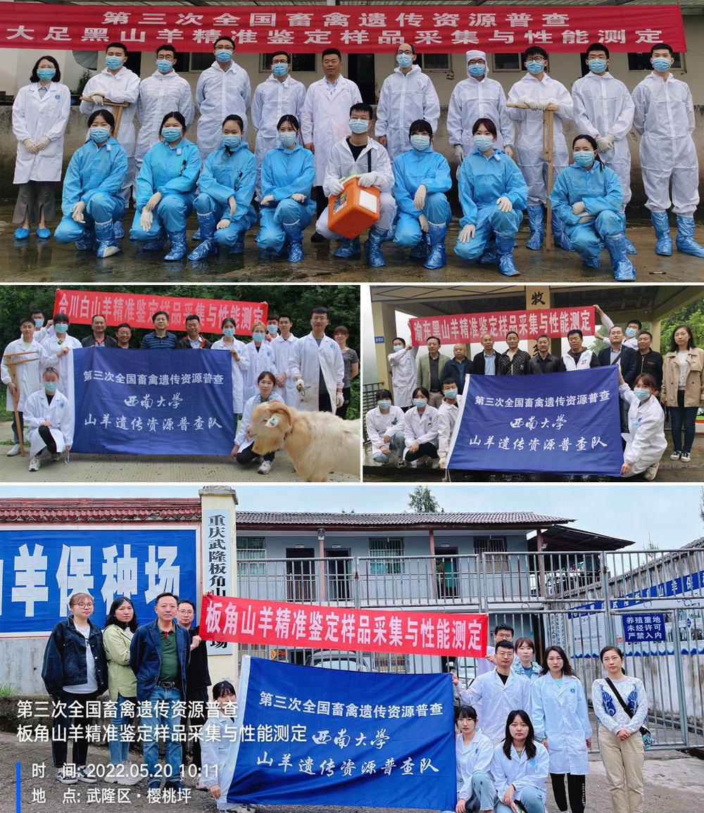 pa视讯官方集团