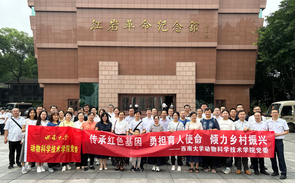 pa视讯官方集团