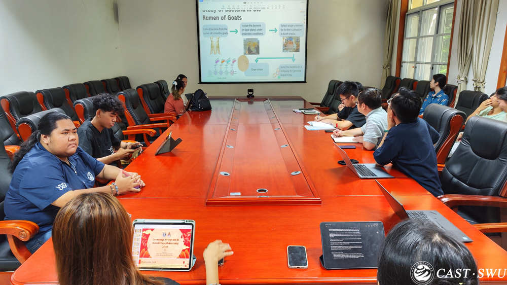 pa视讯官方集团