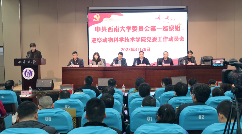 pa视讯官方集团