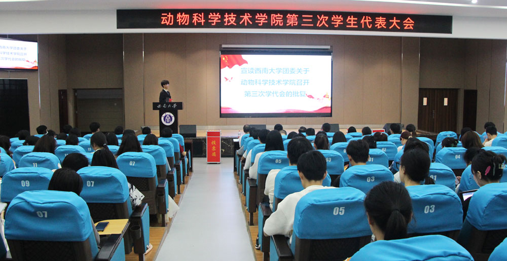 pa视讯官方集团