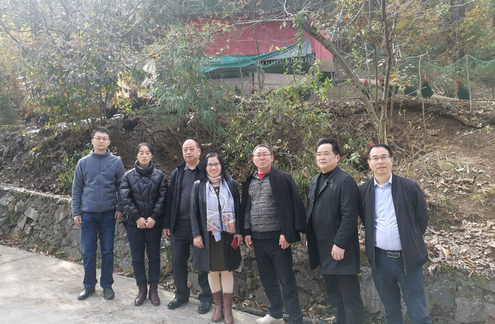 pa视讯官方集团