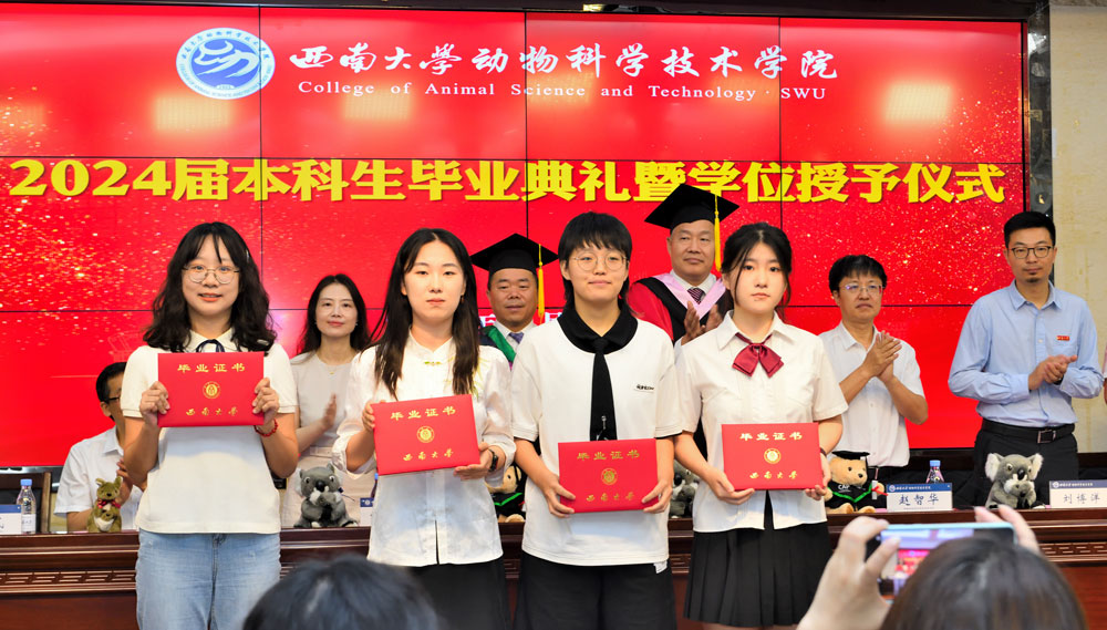 pa视讯官方集团