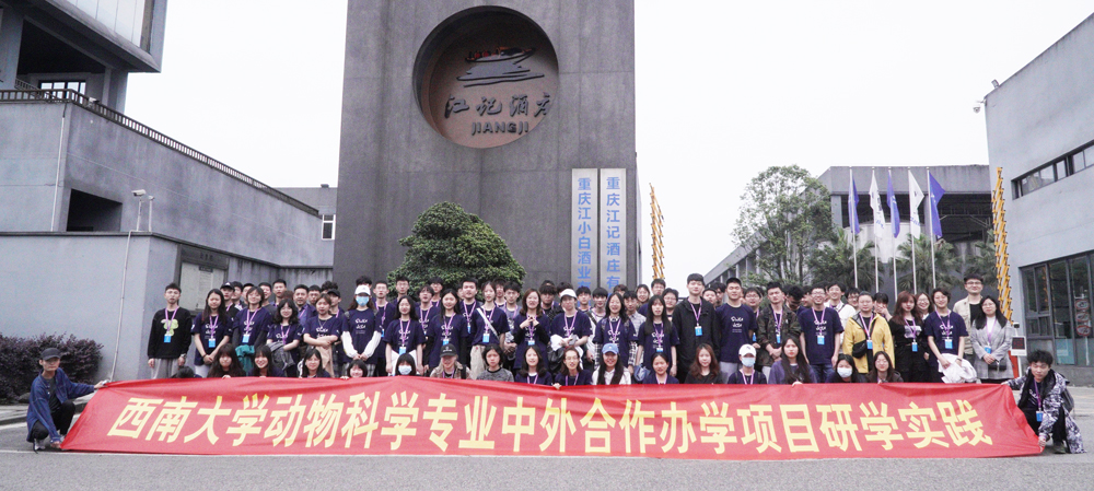 pa视讯官方集团