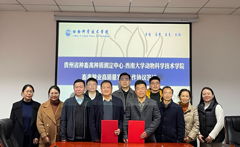 pa视讯官方集团