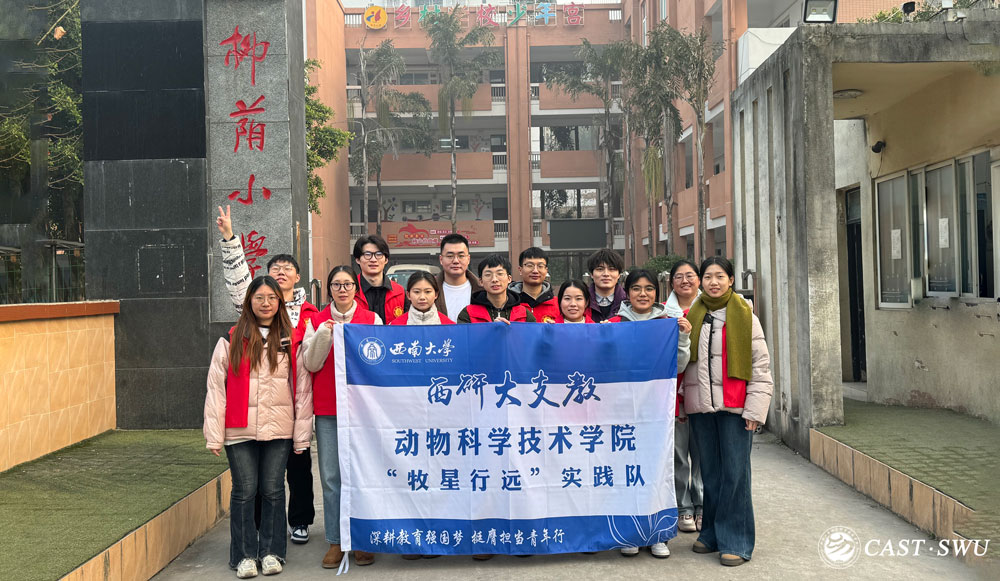 pa视讯官方集团