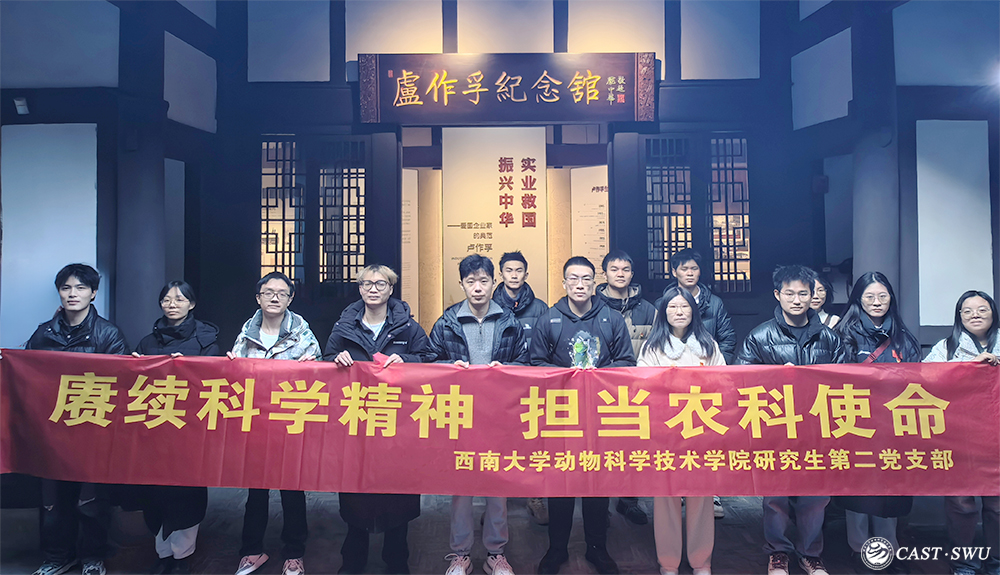 pa视讯官方集团