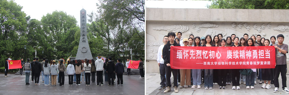 pa视讯官方集团