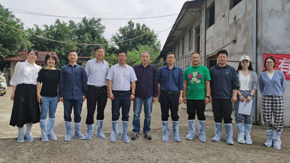 pa视讯官方集团