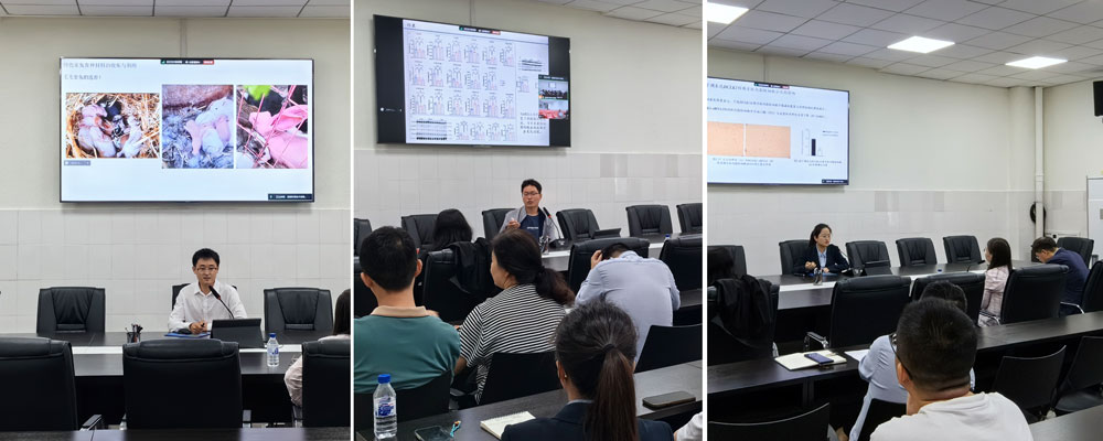 pa视讯官方集团