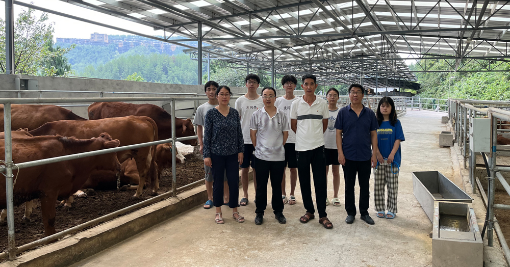 pa视讯官方集团