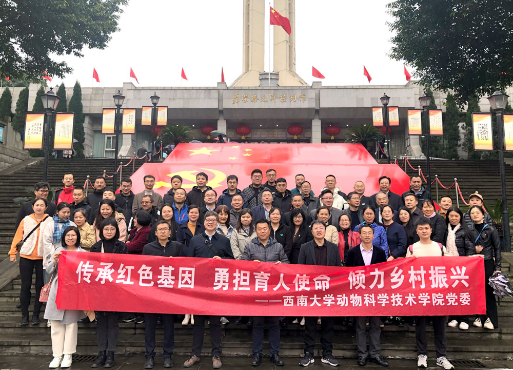 pa视讯官方集团