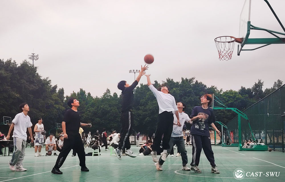 pa视讯官方集团