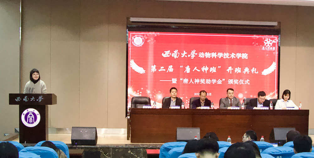 pa视讯官方集团