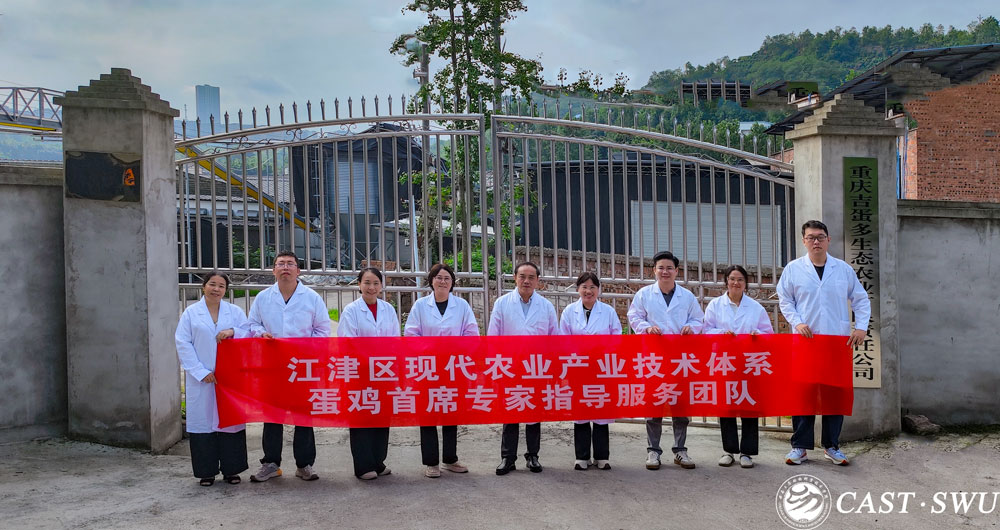 pa视讯官方集团