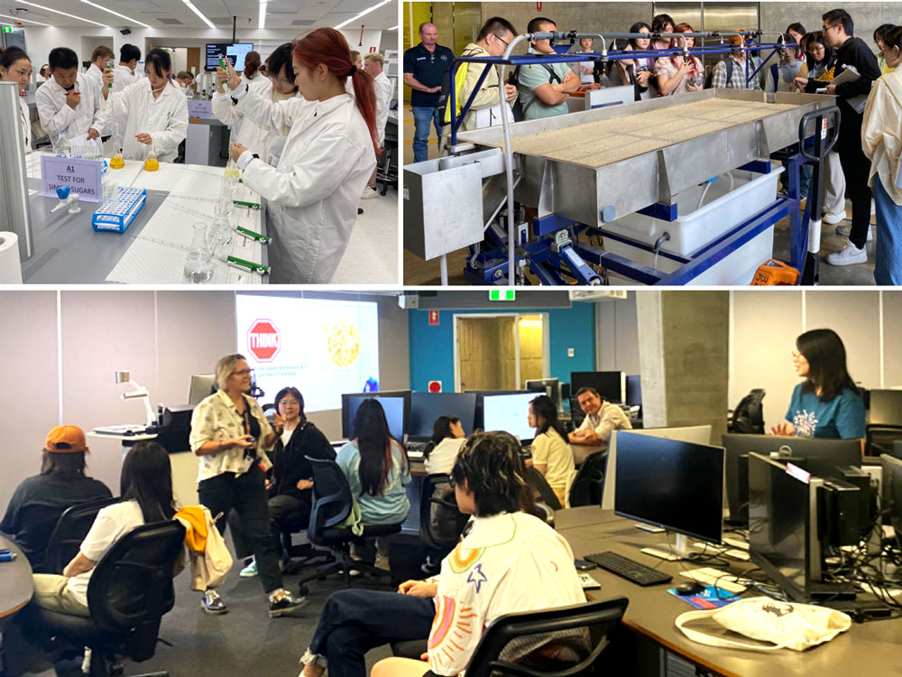 pa视讯官方集团