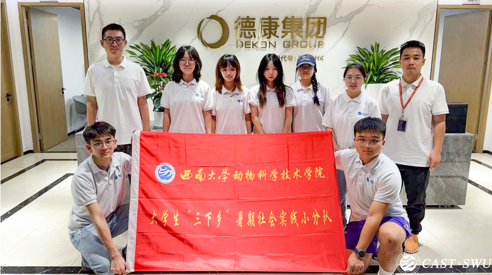 pa视讯官方集团