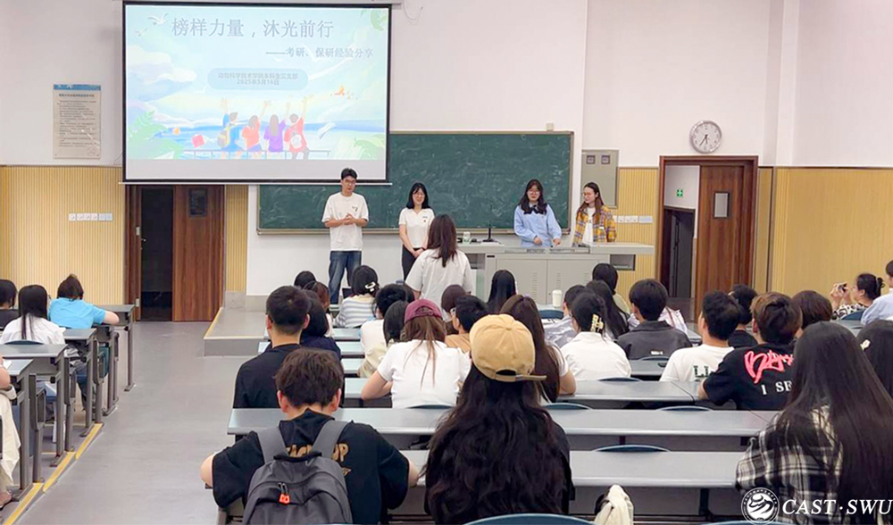 pa视讯官方集团