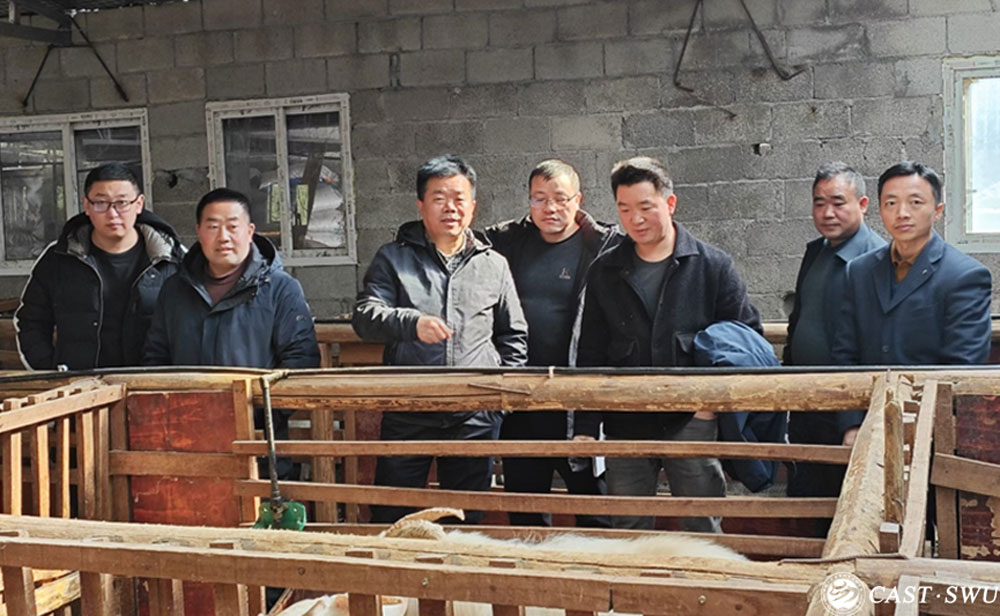 pa视讯官方集团