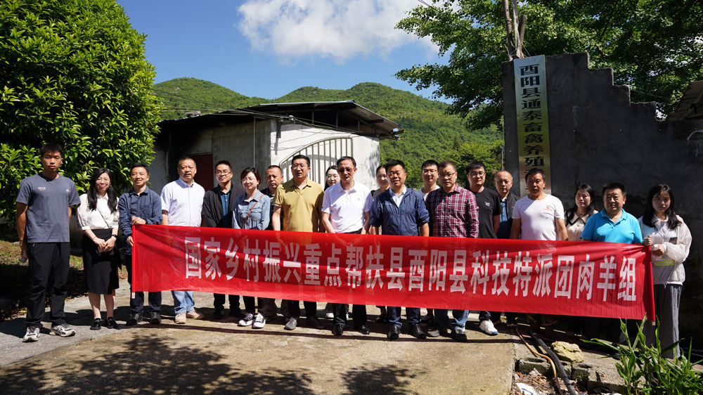 pa视讯官方集团