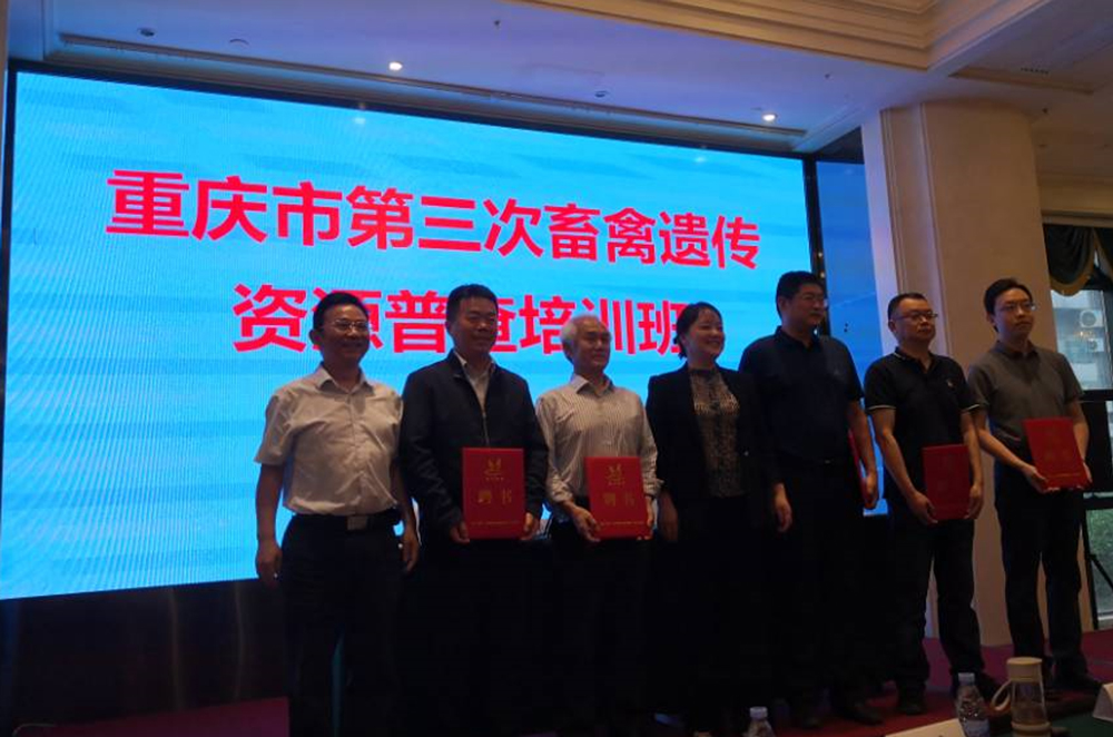 pa视讯官方集团